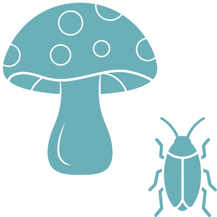 Icône diag moisissures parasites