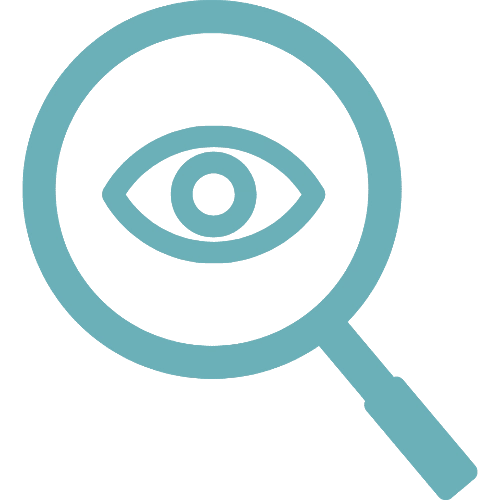 Icône contrôle visuel