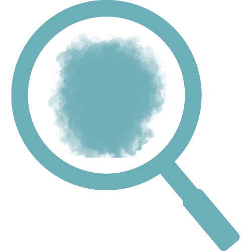 Icône recherche poussières