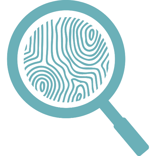 Icône analyse du bois